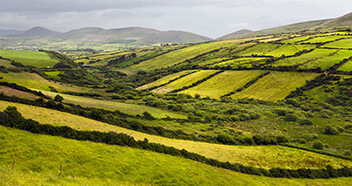 Fields